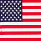USA Bandana