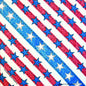 USA Denim Bandana