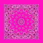Neon Hot Pink Paisley Bandana