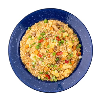 Chicken Fried Rice MRE Pouch | Mountain House