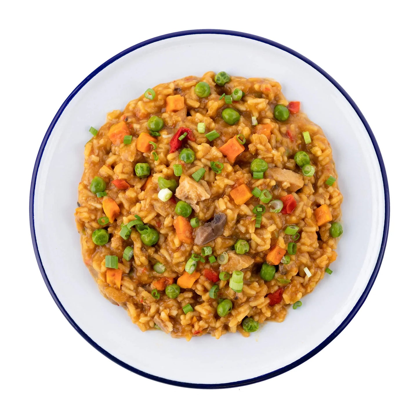 Chicken Teriyaki with Rice MRE Pouch | Mountain House