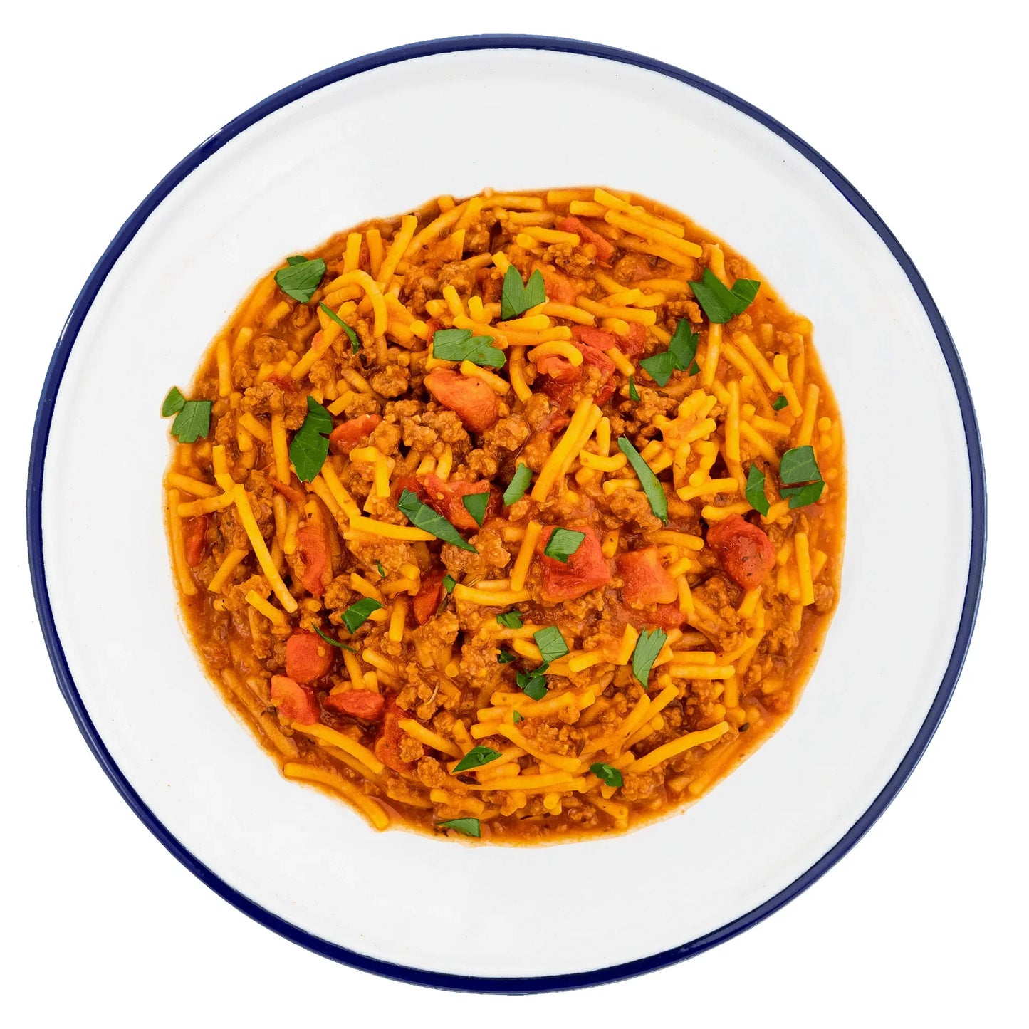 Mountain House #10 Can MRE | Spaghetti with Meat Sauce