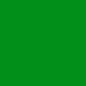 Kelly Green Solid Color Bandana